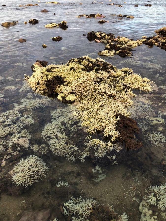 Hotel Khach San Nhu Yen Nha Trang Zewnętrze zdjęcie
